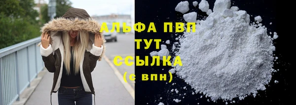 дмт Ростов