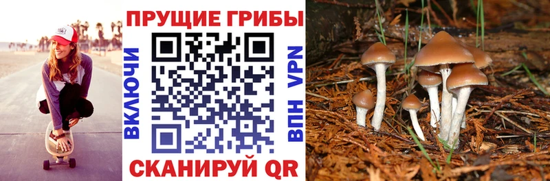 Псилоцибиновые грибы мухоморы  ссылка на мегу ссылка  Покровск 